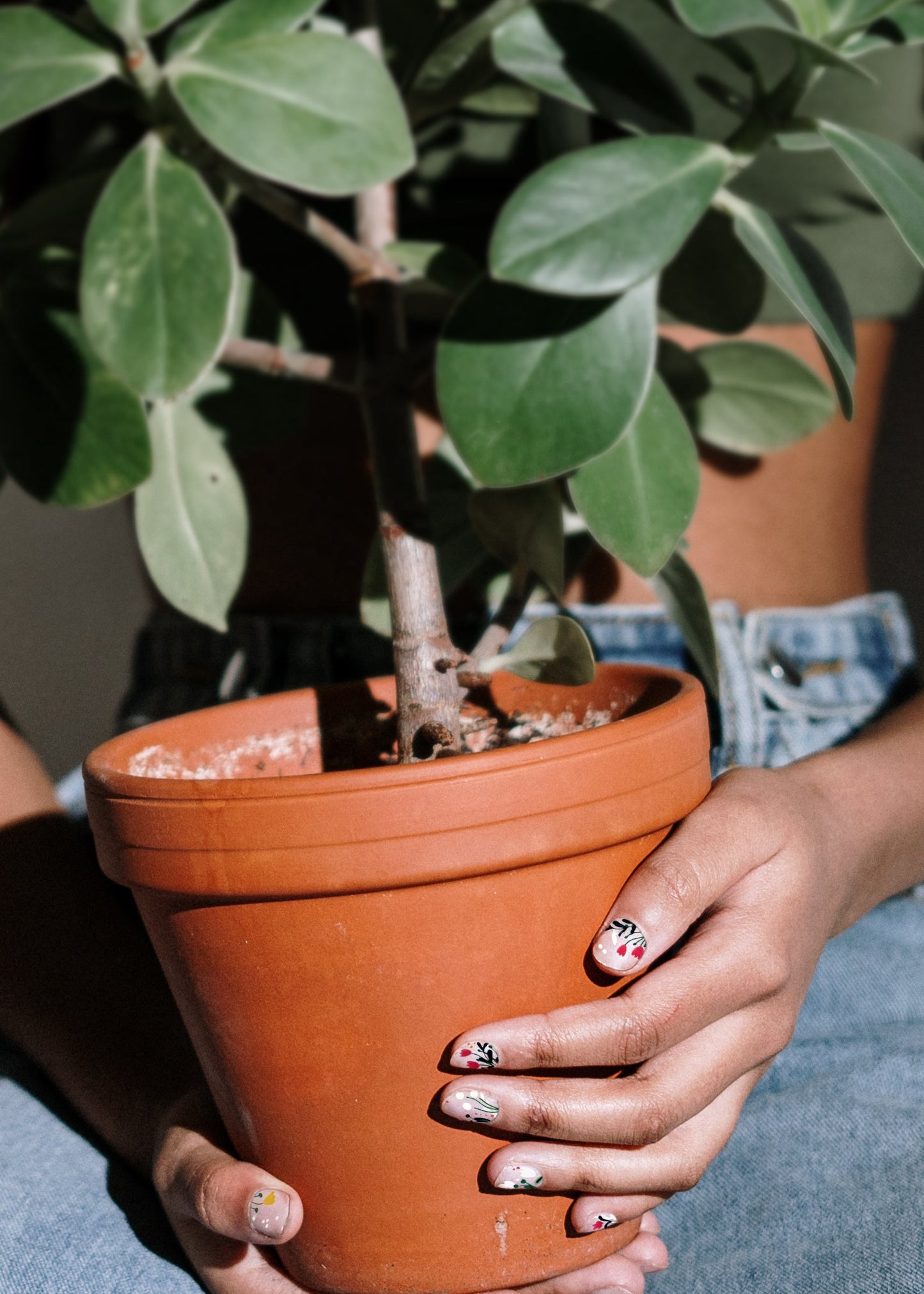 'Secret Garden' Floral Clear Nail Wrap Kit